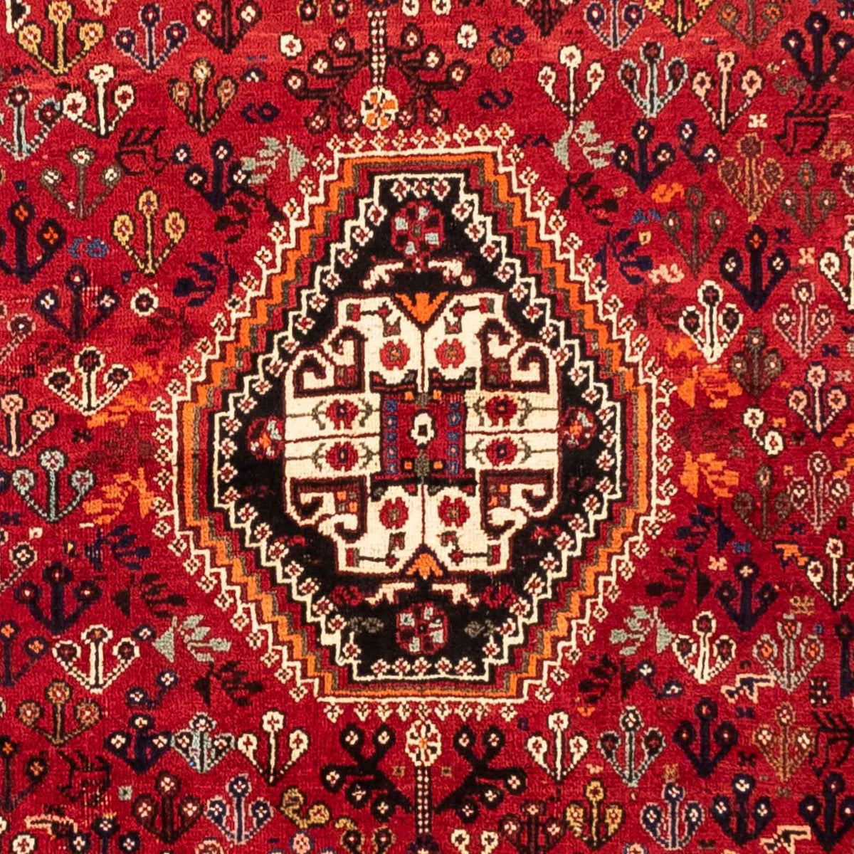 Alfombra persa - Nómada - 251 x 176 cm - rojo oscuro