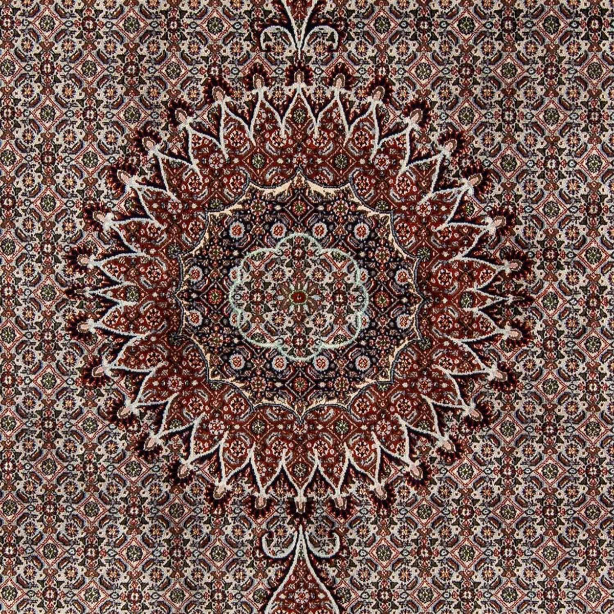 Alfombra persa - Clásica - 284 x 201 cm - beige
