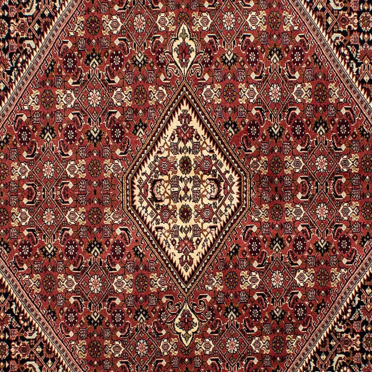 Alfombra persa - Bidjar - 254 x 176 cm - marrón