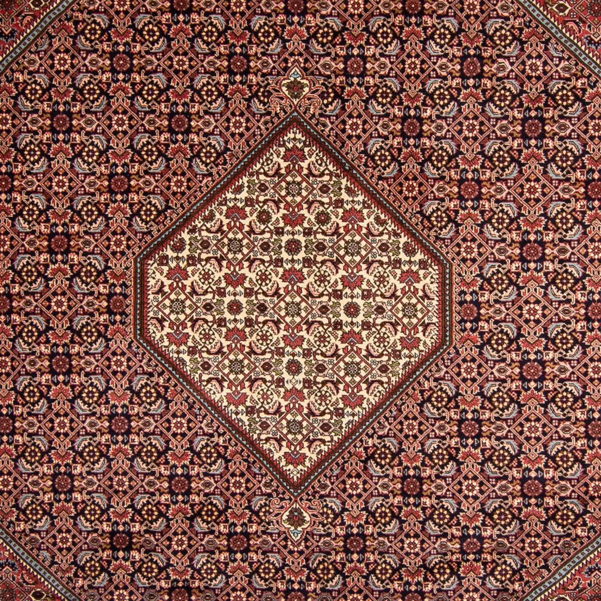 Alfombra persa - Bidjar - 340 x 252 cm - marrón