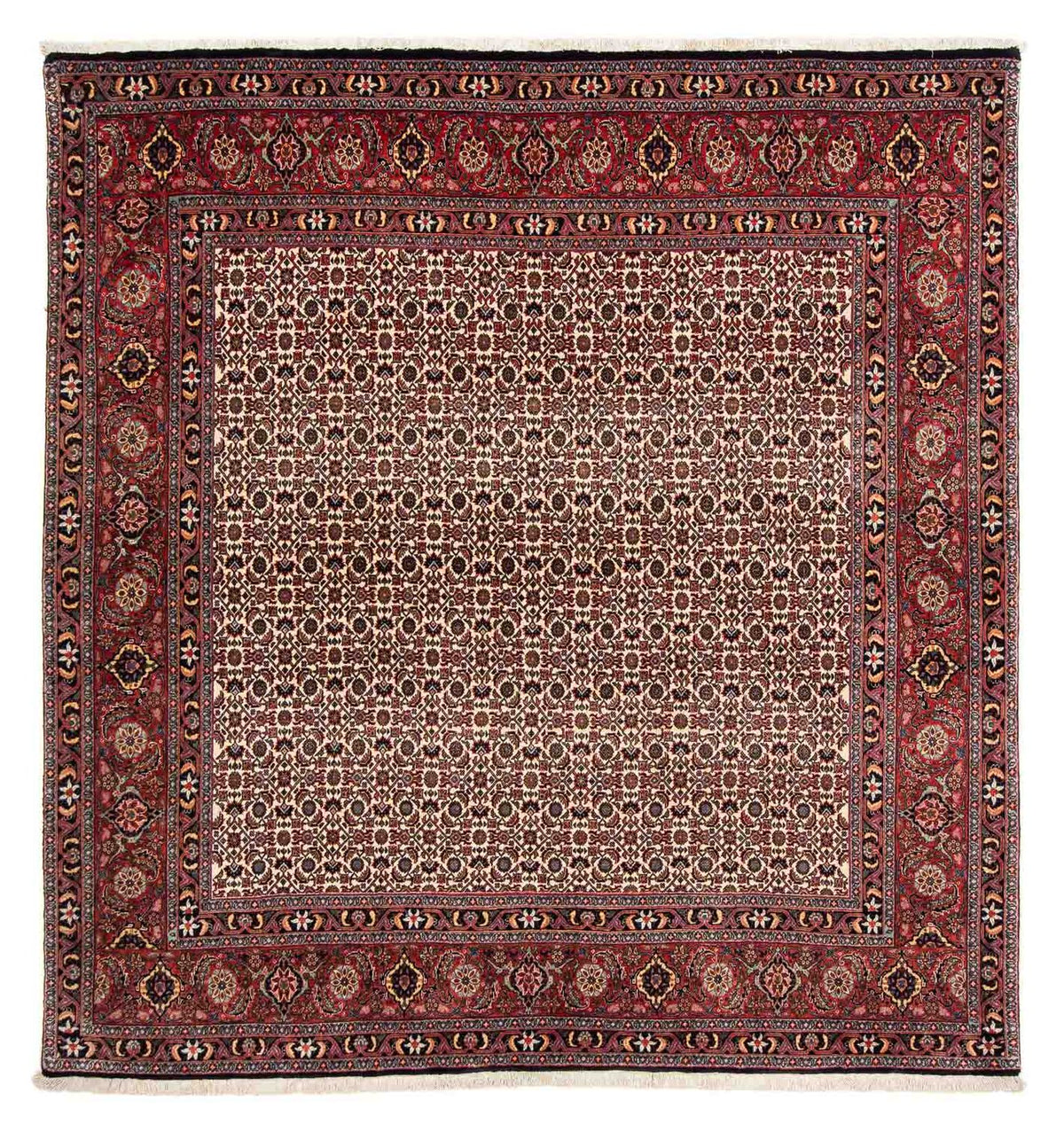 Alfombra persa - Bidjar cuadrado - 204 x 201 cm - rojo oscuro