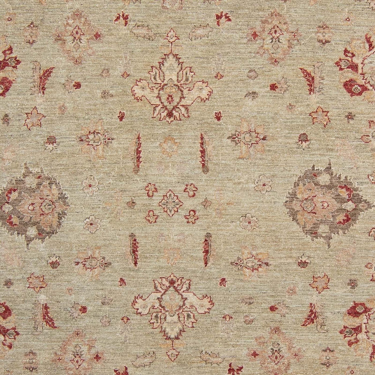 Alfombra Ziegler - 368 x 279 cm - beige claro