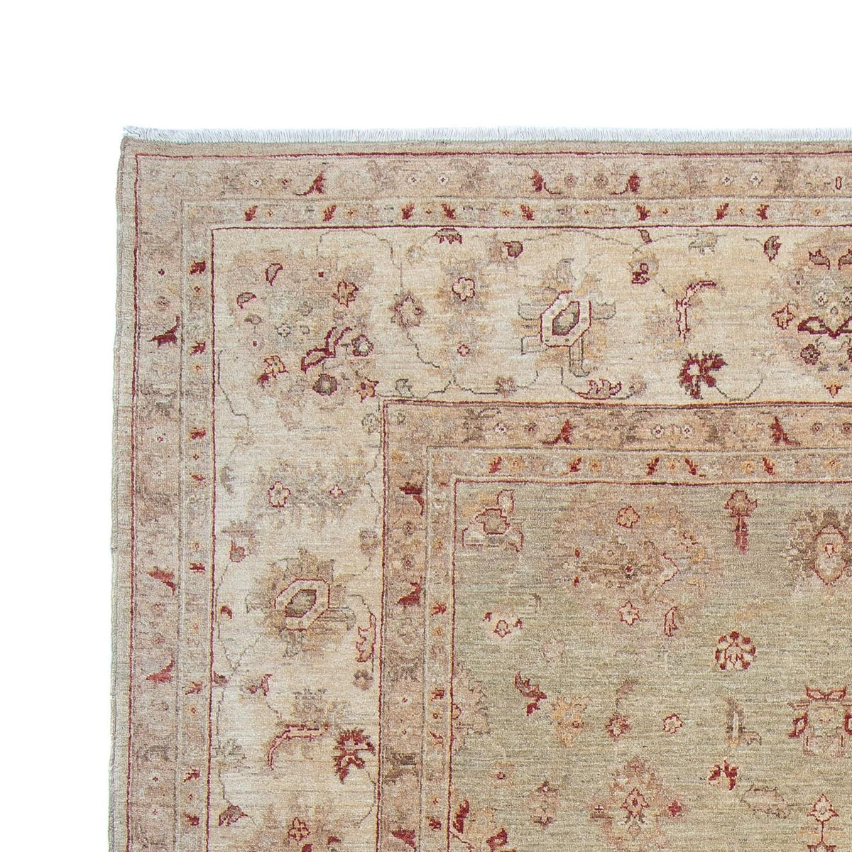 Alfombra Ziegler - 368 x 279 cm - beige claro