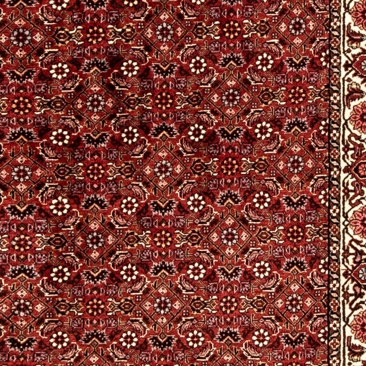 Alfombra de pasillo Alfombra persa - Bidjar - 296 x 82 cm - rojo oscuro