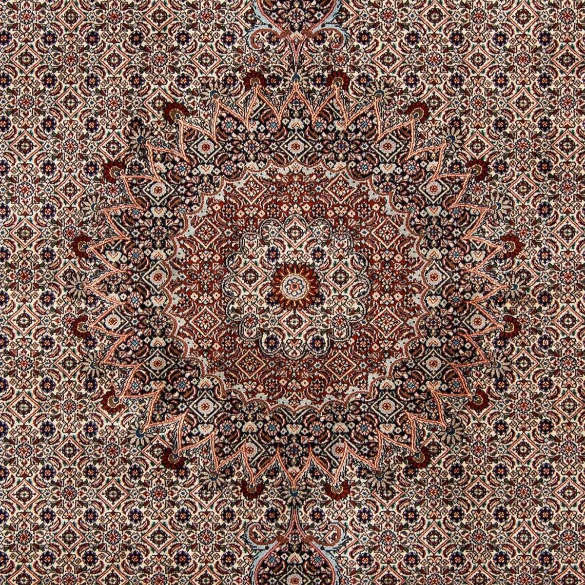 Alfombra persa - Clásica - 289 x 202 cm - beige