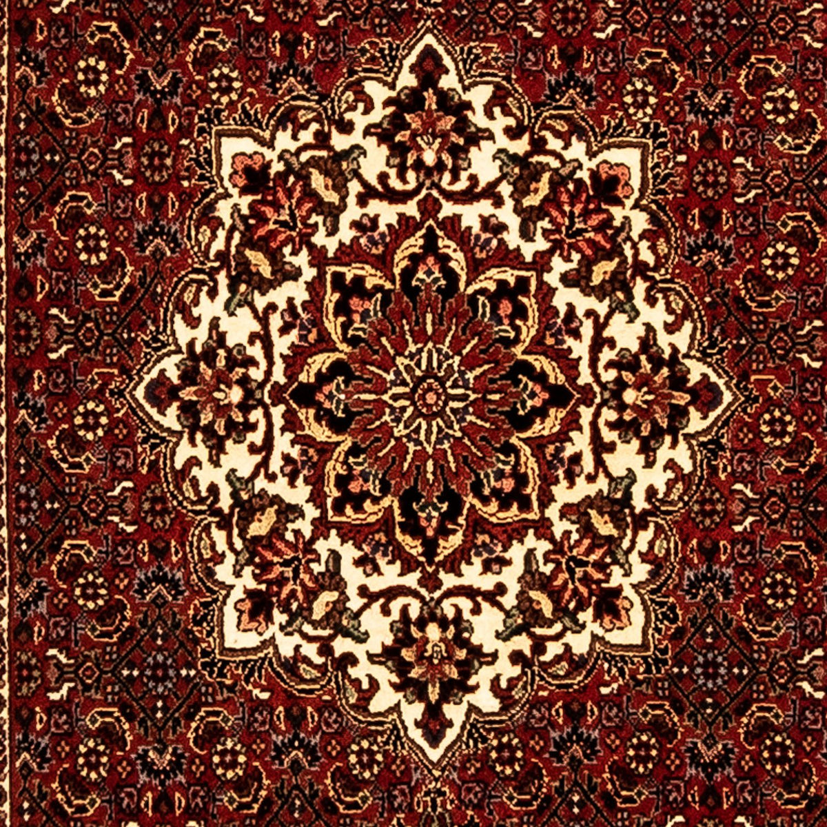 Alfombra de pasillo Alfombra persa - Bidjar - 270 x 72 cm - multicolor