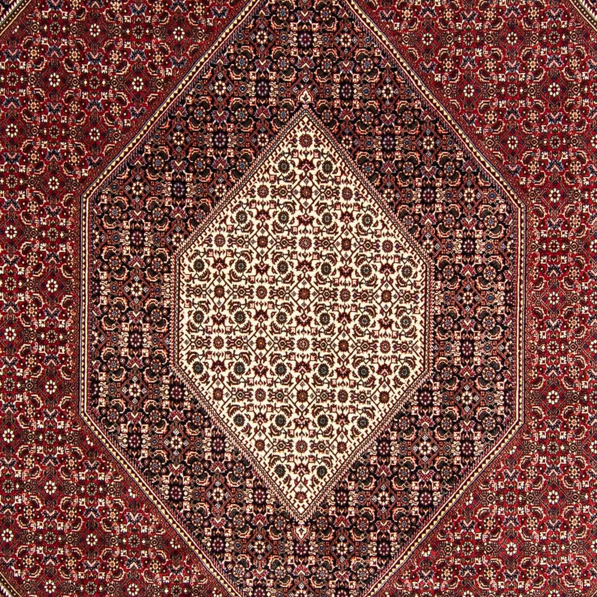Alfombra persa - Bidjar - 349 x 245 cm - rojo claro