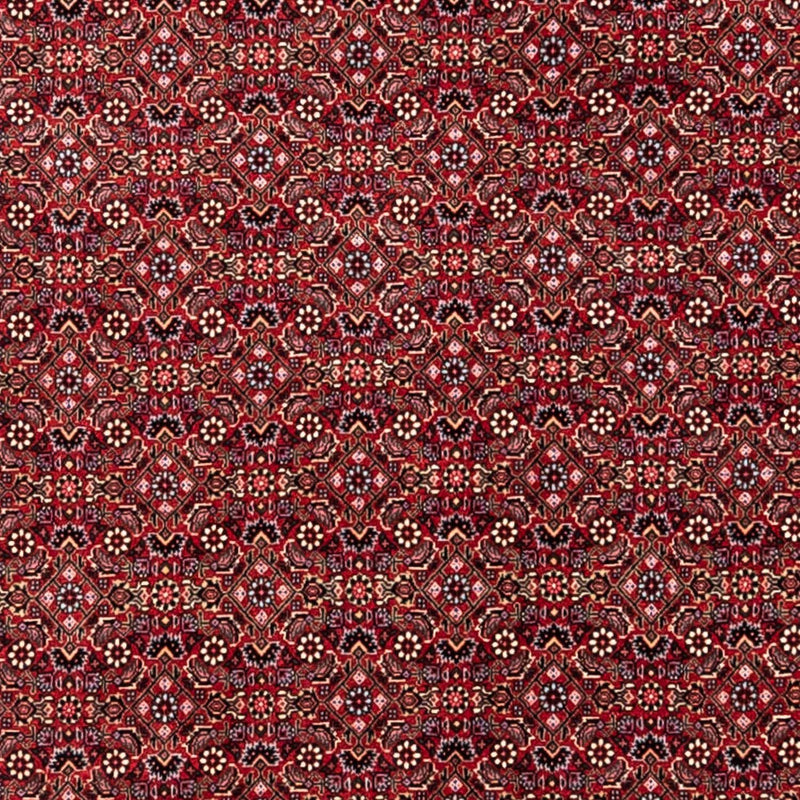 Alfombra persa - Bidjar - 338 x 252 cm - rojo