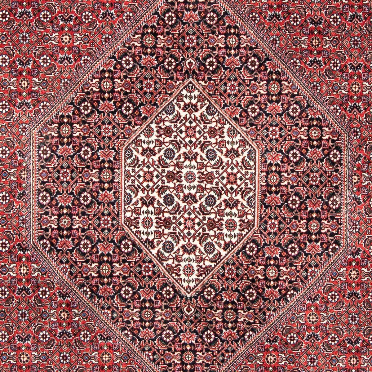 Alfombra persa - Bidjar - 253 x 174 cm - rojo claro