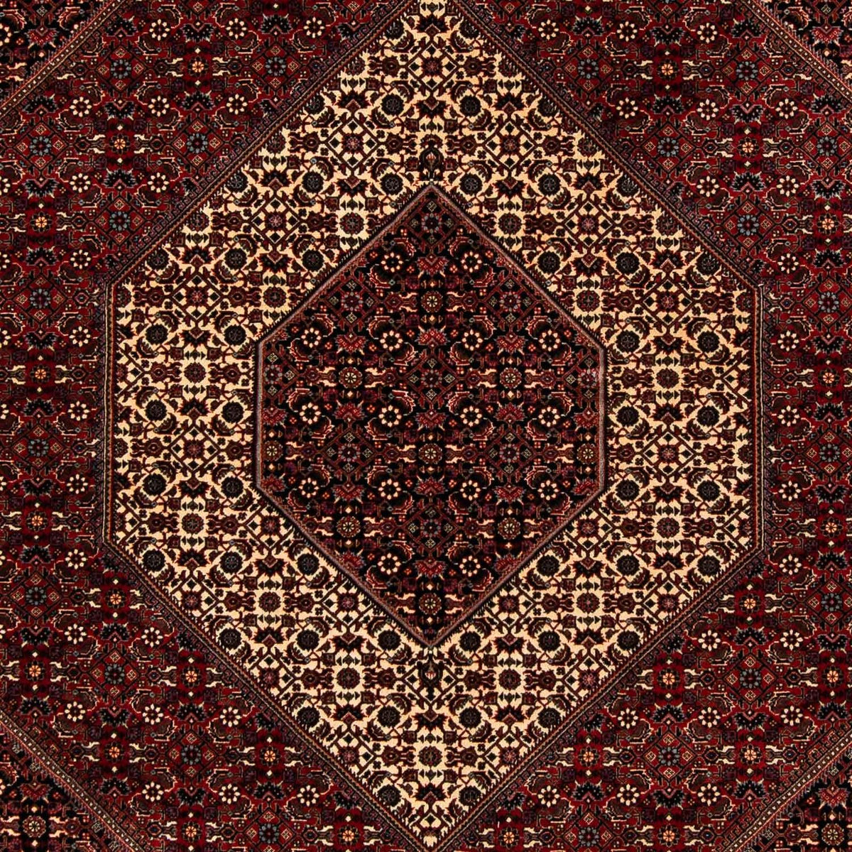 Alfombra persa - Bidjar - 242 x 203 cm - rojo oscuro