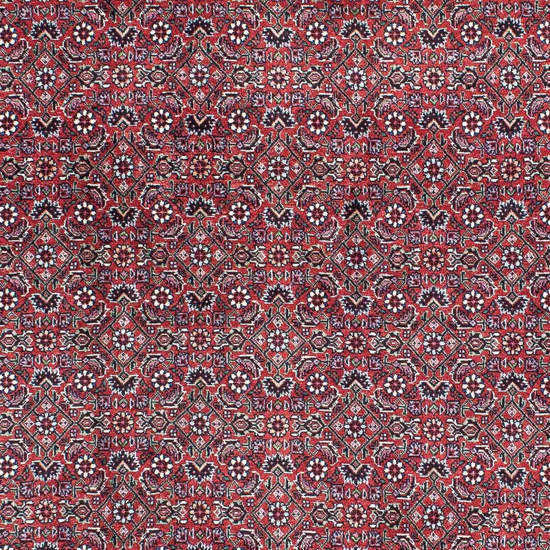 Alfombra persa - Bidjar - 216 x 128 cm - rojo claro