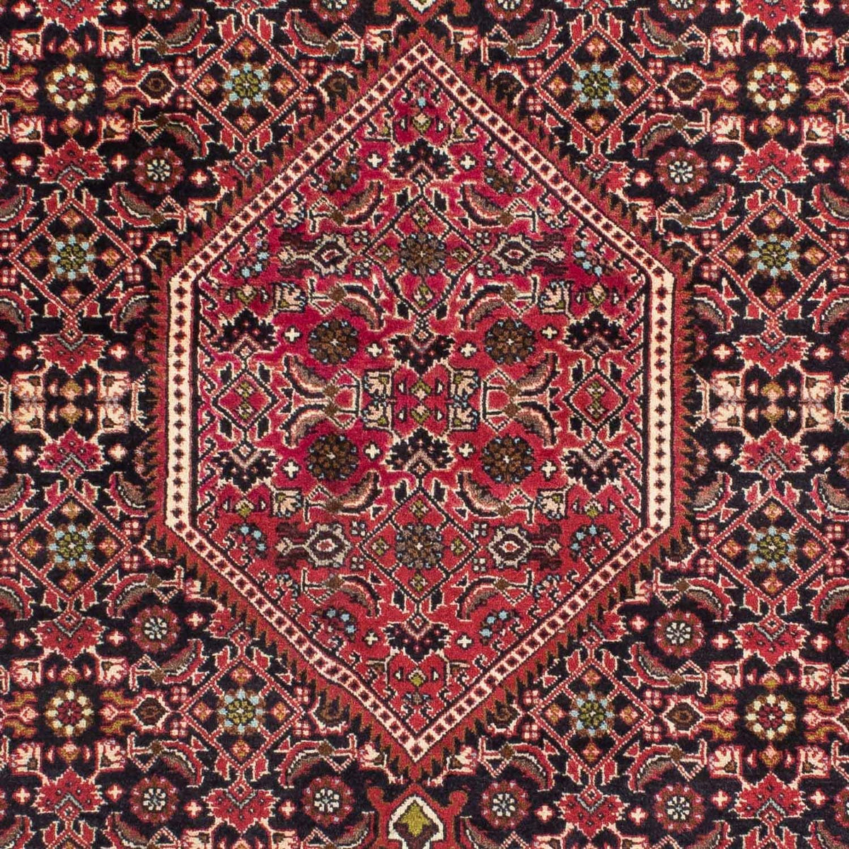 Alfombra persa - Bidjar - 216 x 138 cm - rojo