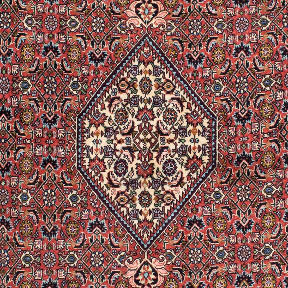 Alfombra persa - Bidjar - 231 x 141 cm - rojo