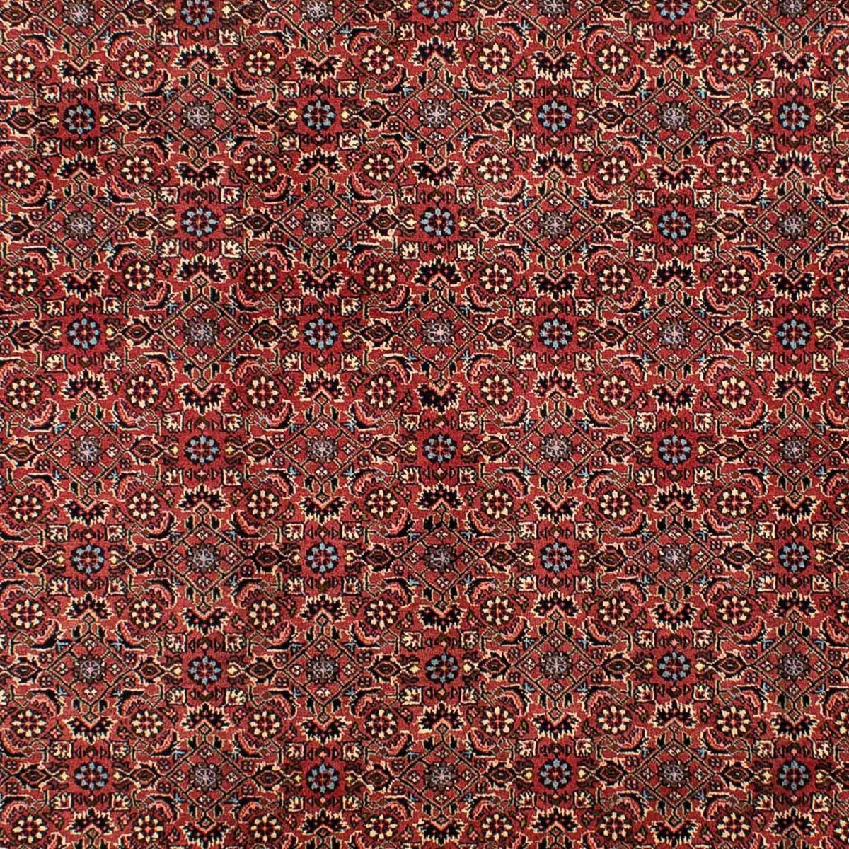 Alfombra persa - Bidjar - 300 x 200 cm - rojo oscuro