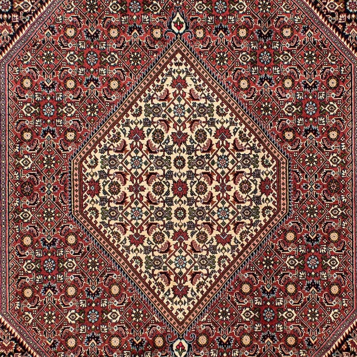 Alfombra persa - Bidjar - 291 x 196 cm - rojo claro