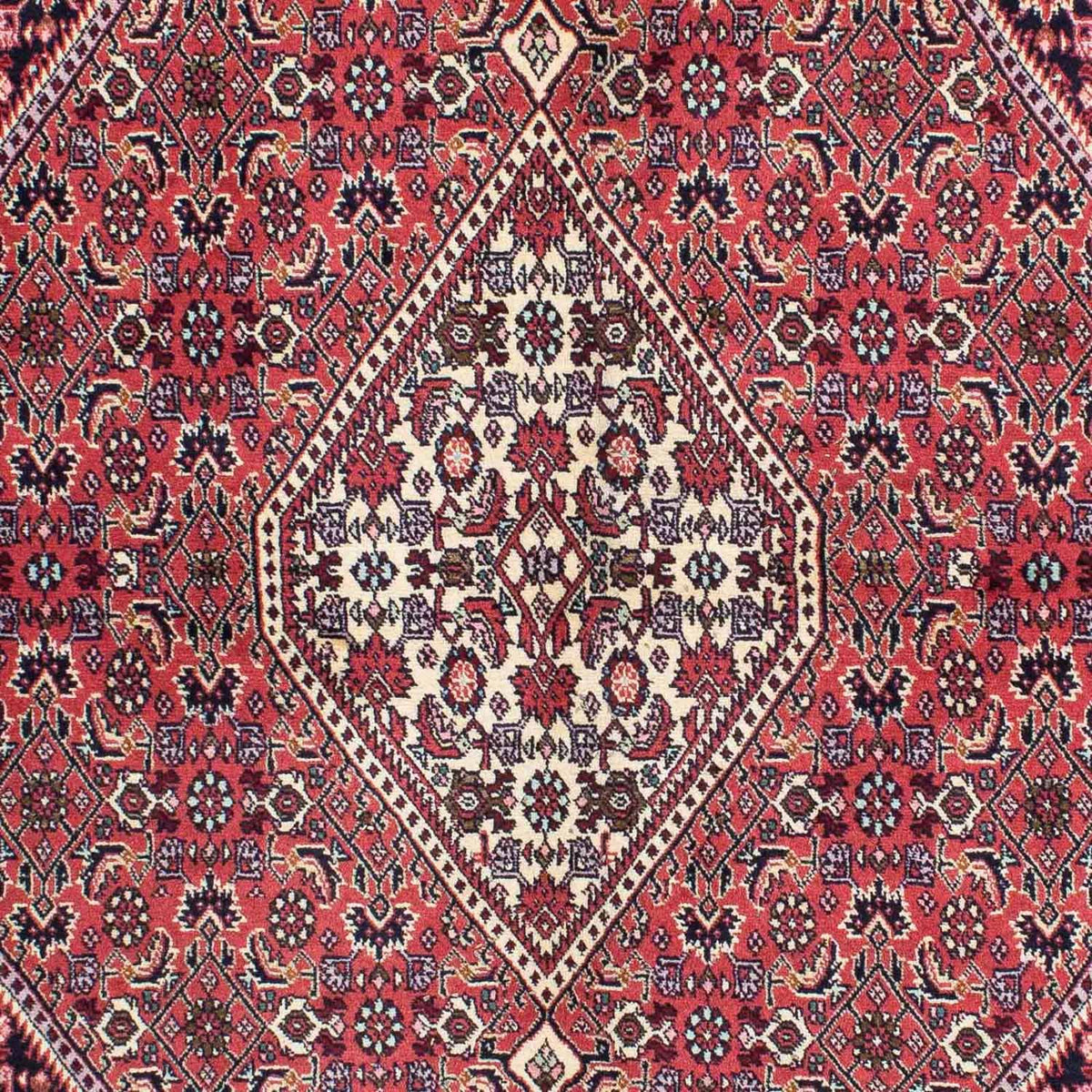 Alfombra persa - Bidjar - 230 x 141 cm - rojo