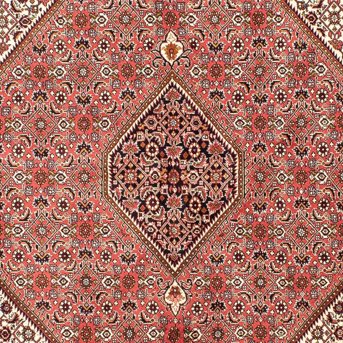 Alfombra persa - Bidjar - 237 x 176 cm - rojo claro