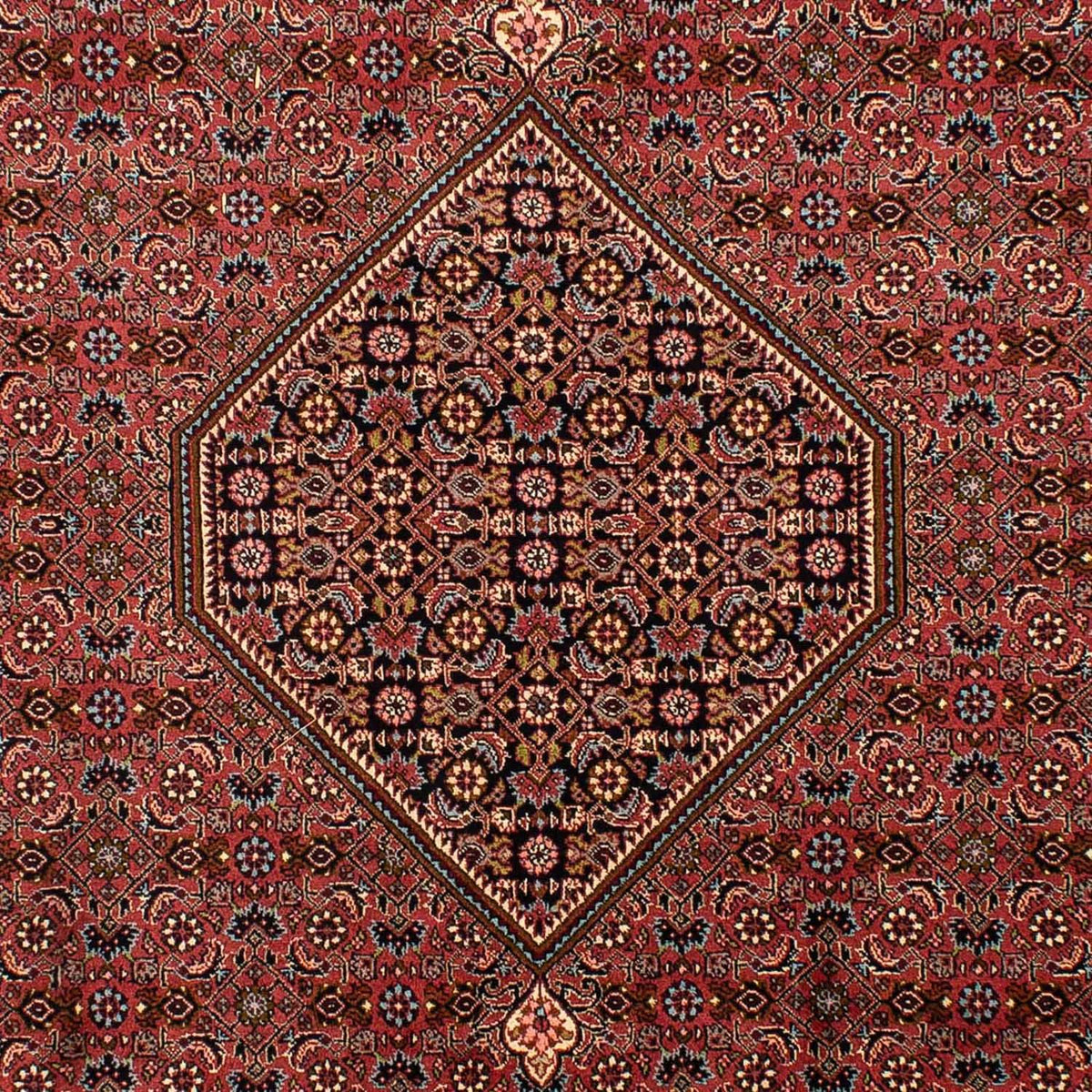 Alfombra persa - Bidjar - 321 x 197 cm - marrón