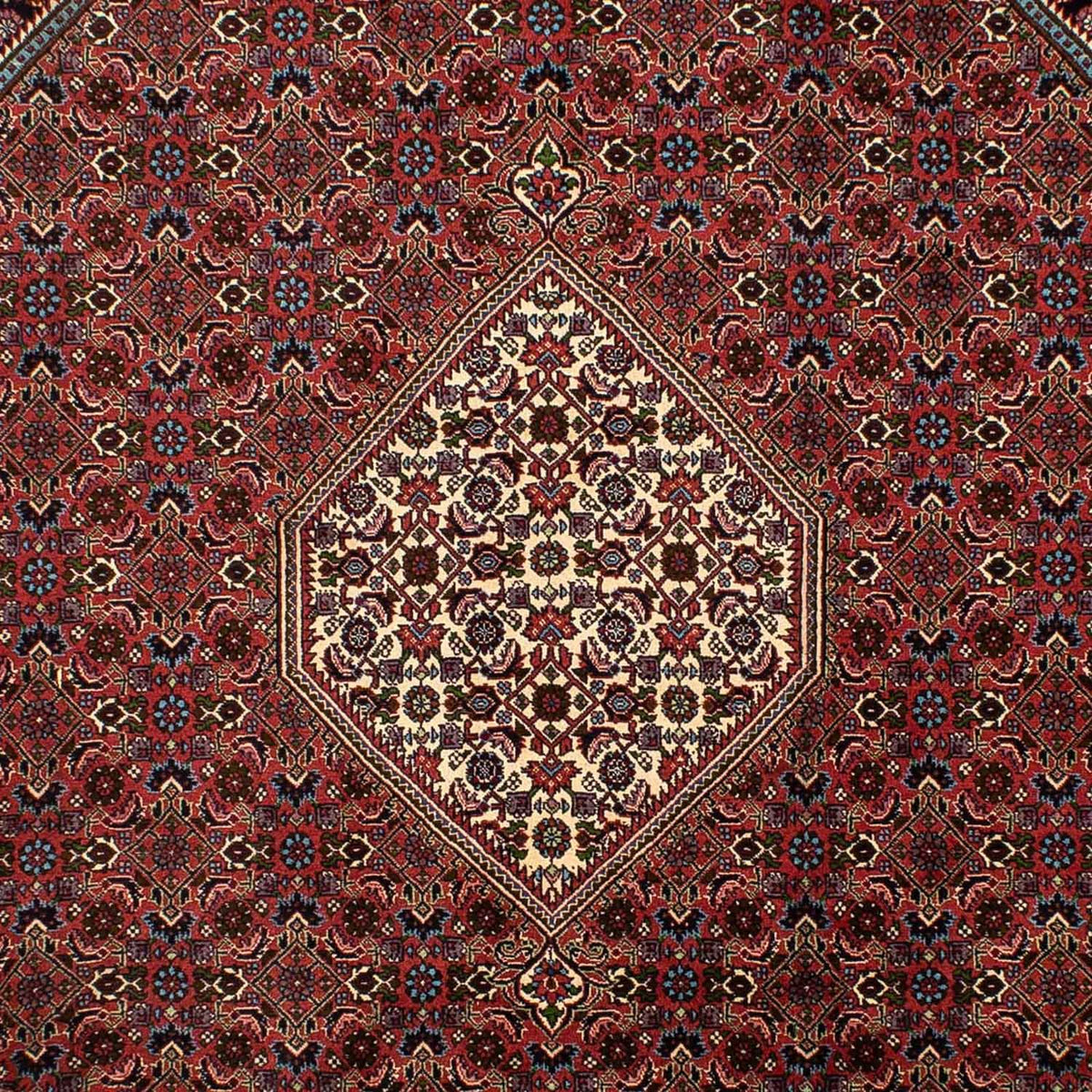 Alfombra persa - Bidjar - 302 x 198 cm - marrón