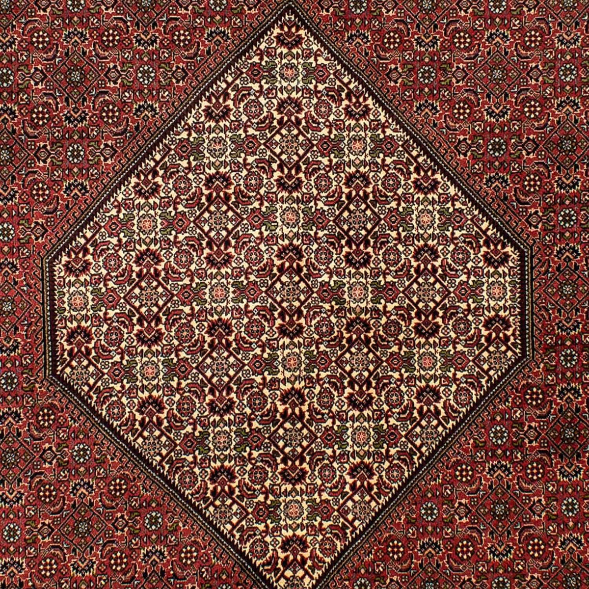 Alfombra persa - Bidjar - 265 x 171 cm - marrón