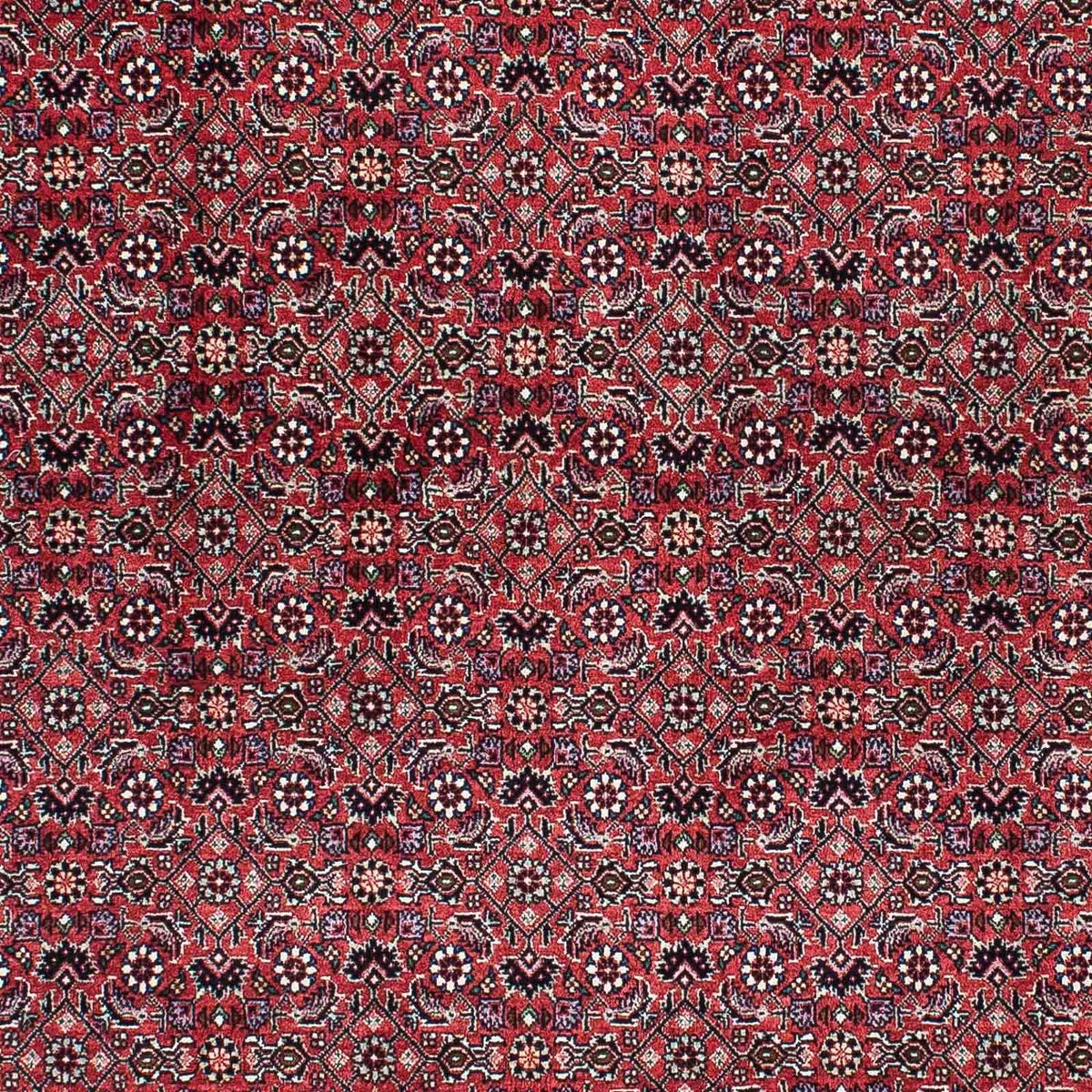 Alfombra persa - Bidjar - 200 x 133 cm - rojo claro