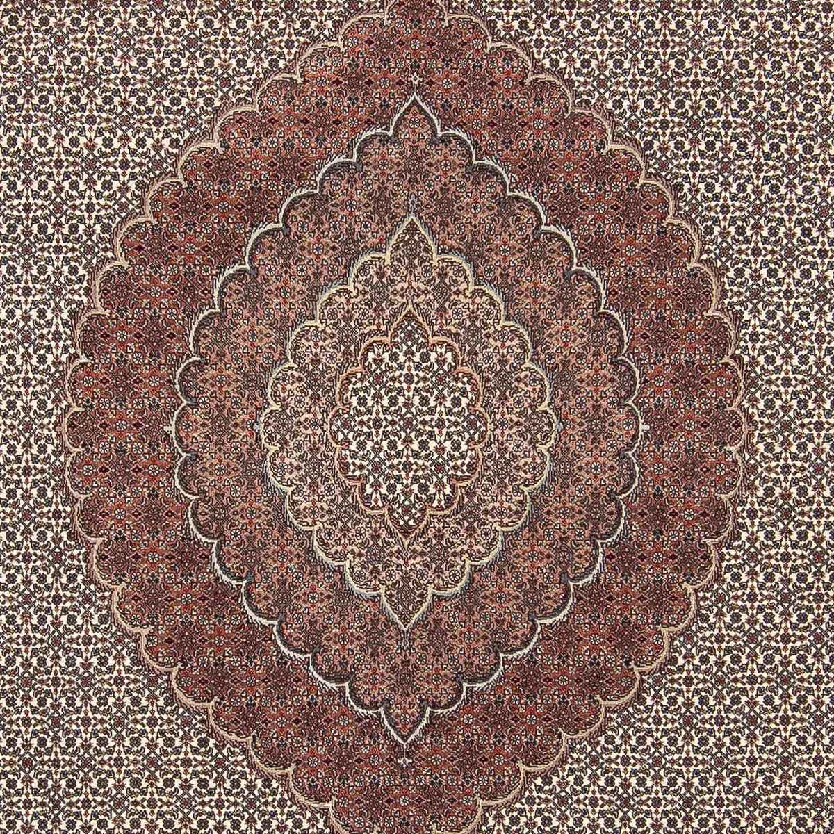 Alfombra persa - Tabriz - 300 x 250 cm - multicolor