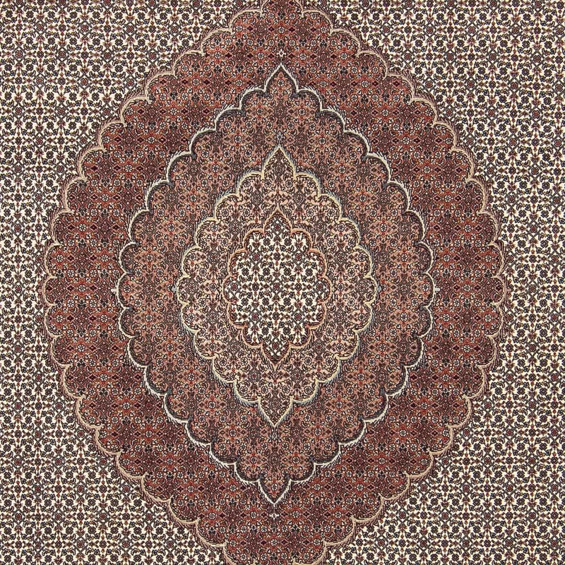 Alfombra persa - Tabriz - 300 x 250 cm - multicolor