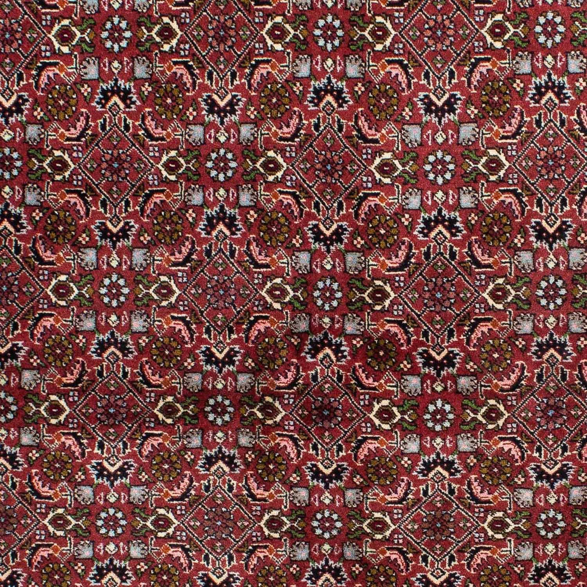 Alfombra persa - Bidjar - 231 x 138 cm - azul oscuro
