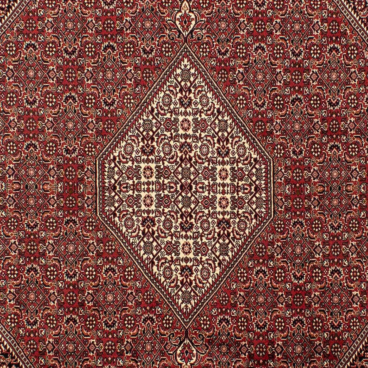 Alfombra persa - Bidjar - 304 x 200 cm - marrón