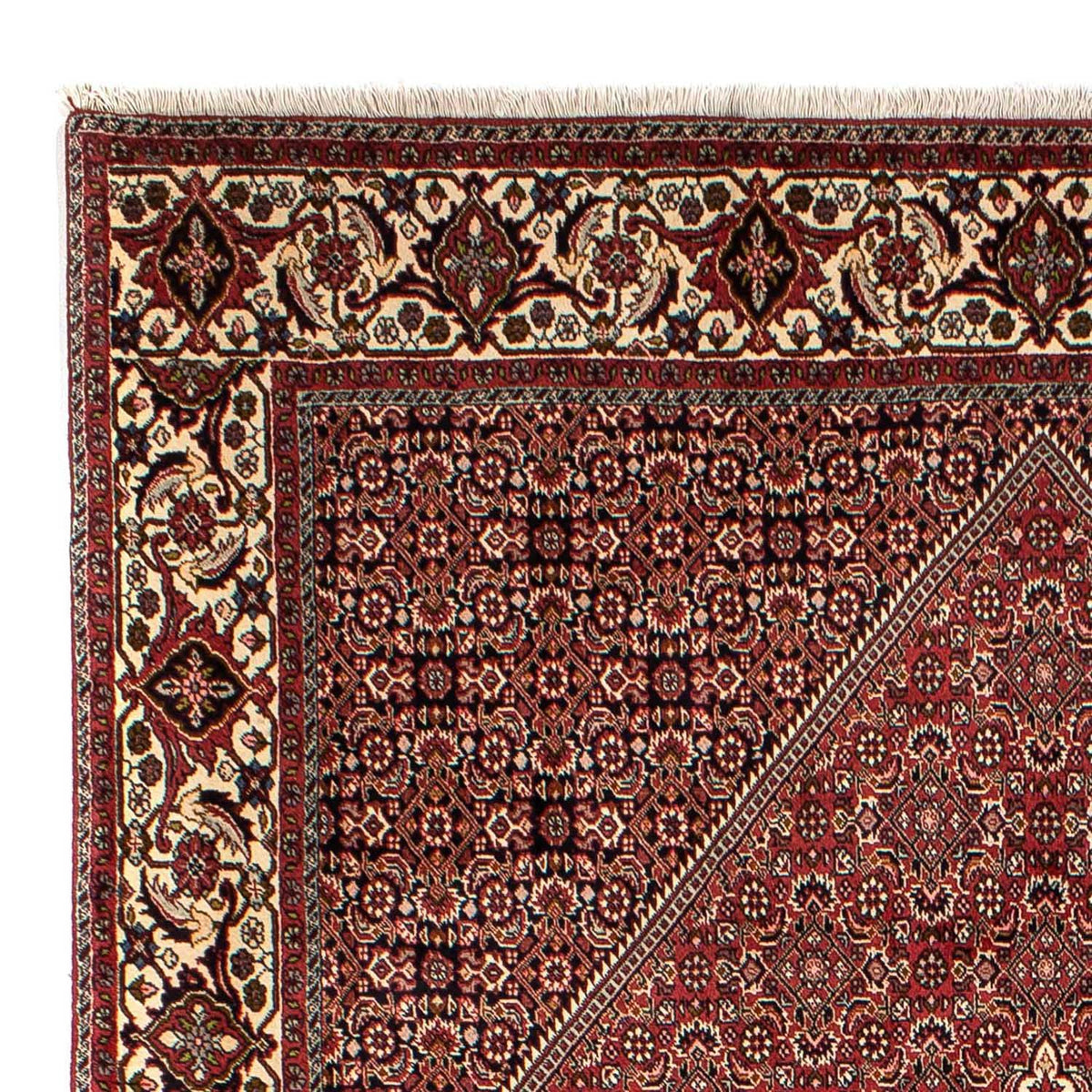 Alfombra persa - Bidjar - 304 x 200 cm - marrón