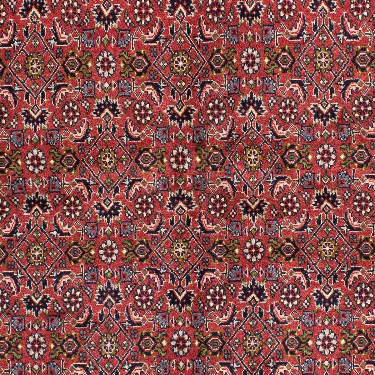 Alfombra persa - Bidjar - 207 x 142 cm - rojo