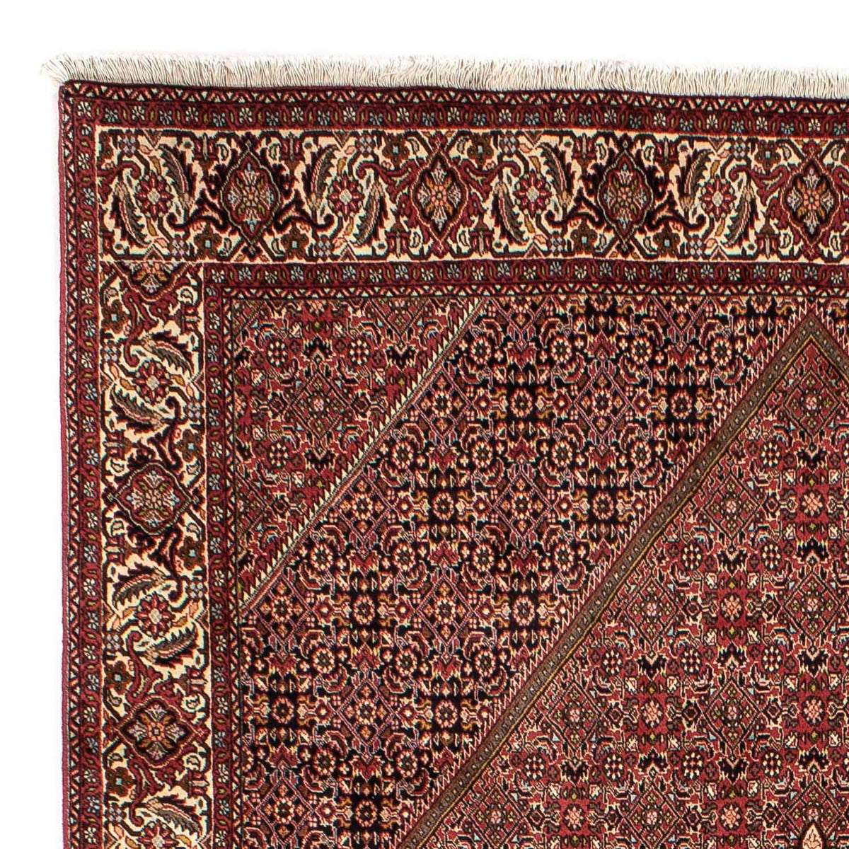 Alfombra persa - Bidjar - 305 x 202 cm - marrón