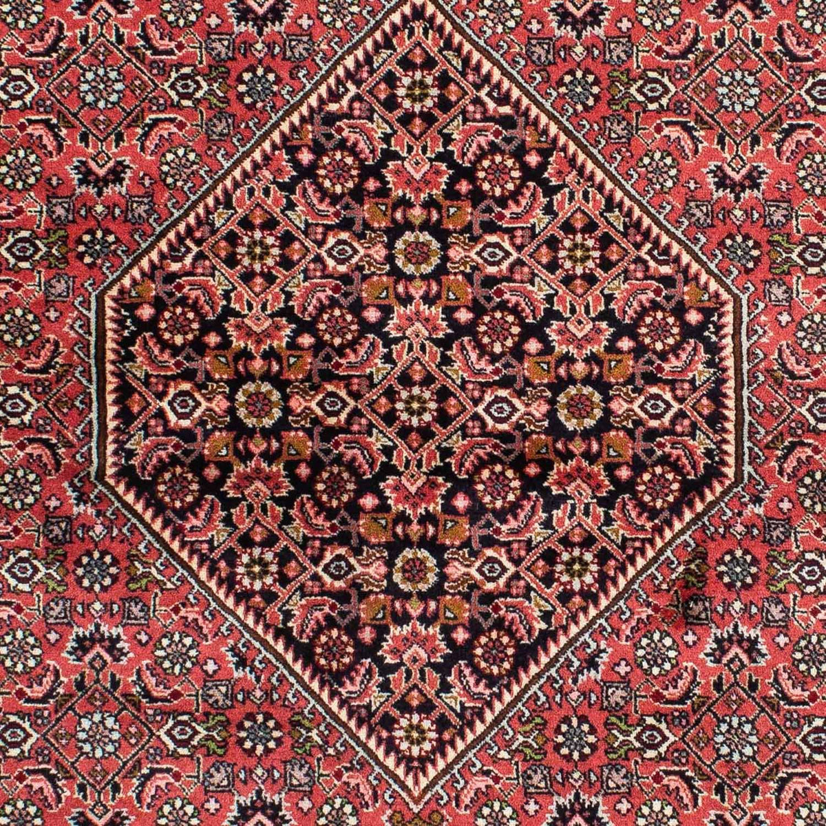 Alfombra persa - Bidjar - 222 x 142 cm - rojo
