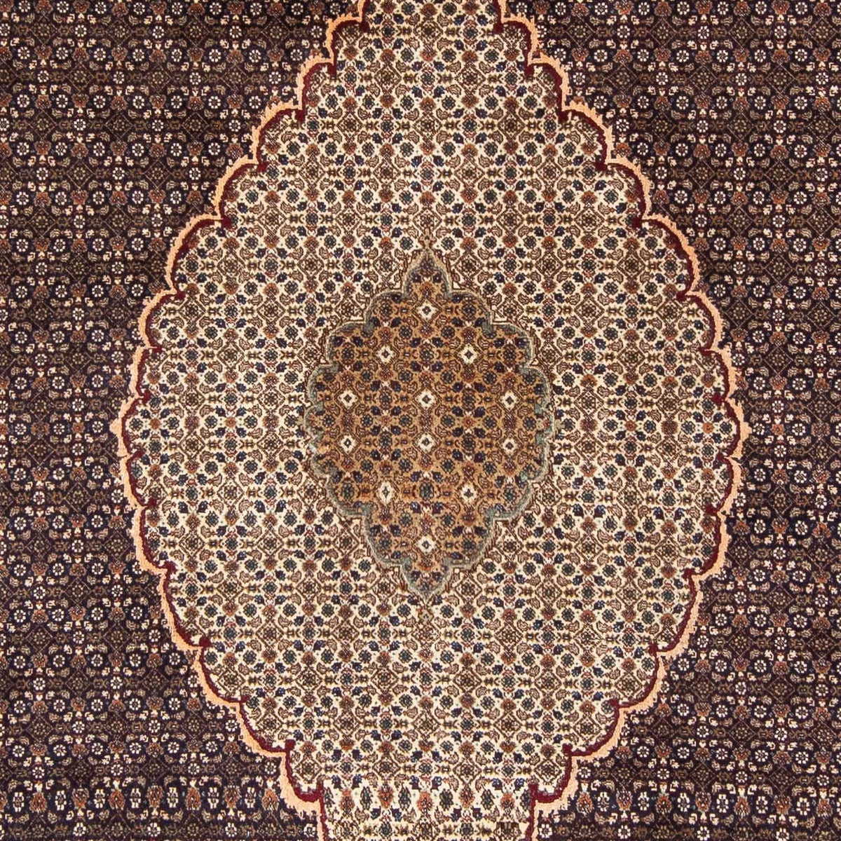 Alfombra persa - Tabriz - 300 x 195 cm - marrón
