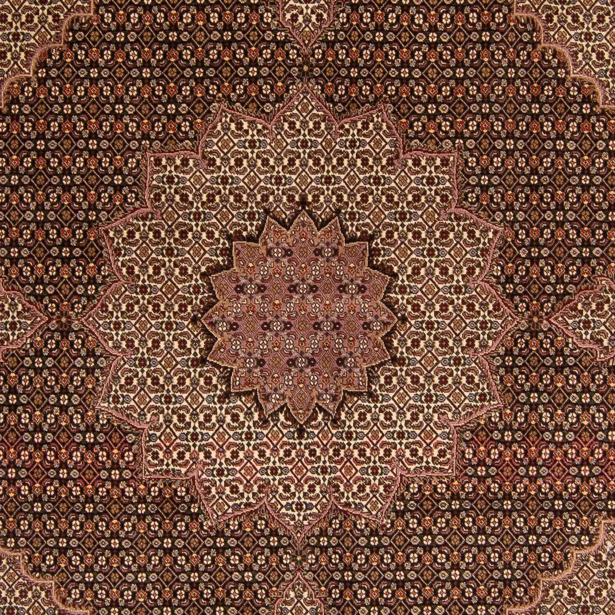 Alfombra Persa - Tabriz - Real - 256 x 248 cm - marrón