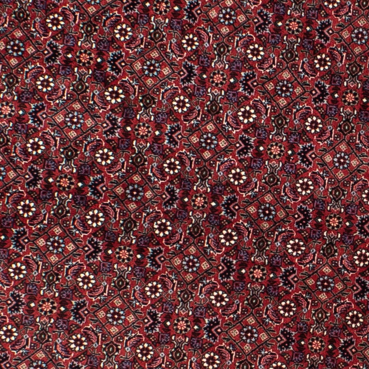 Alfombra persa - Bidjar redondo  - 160 x 160 cm - rojo oscuro