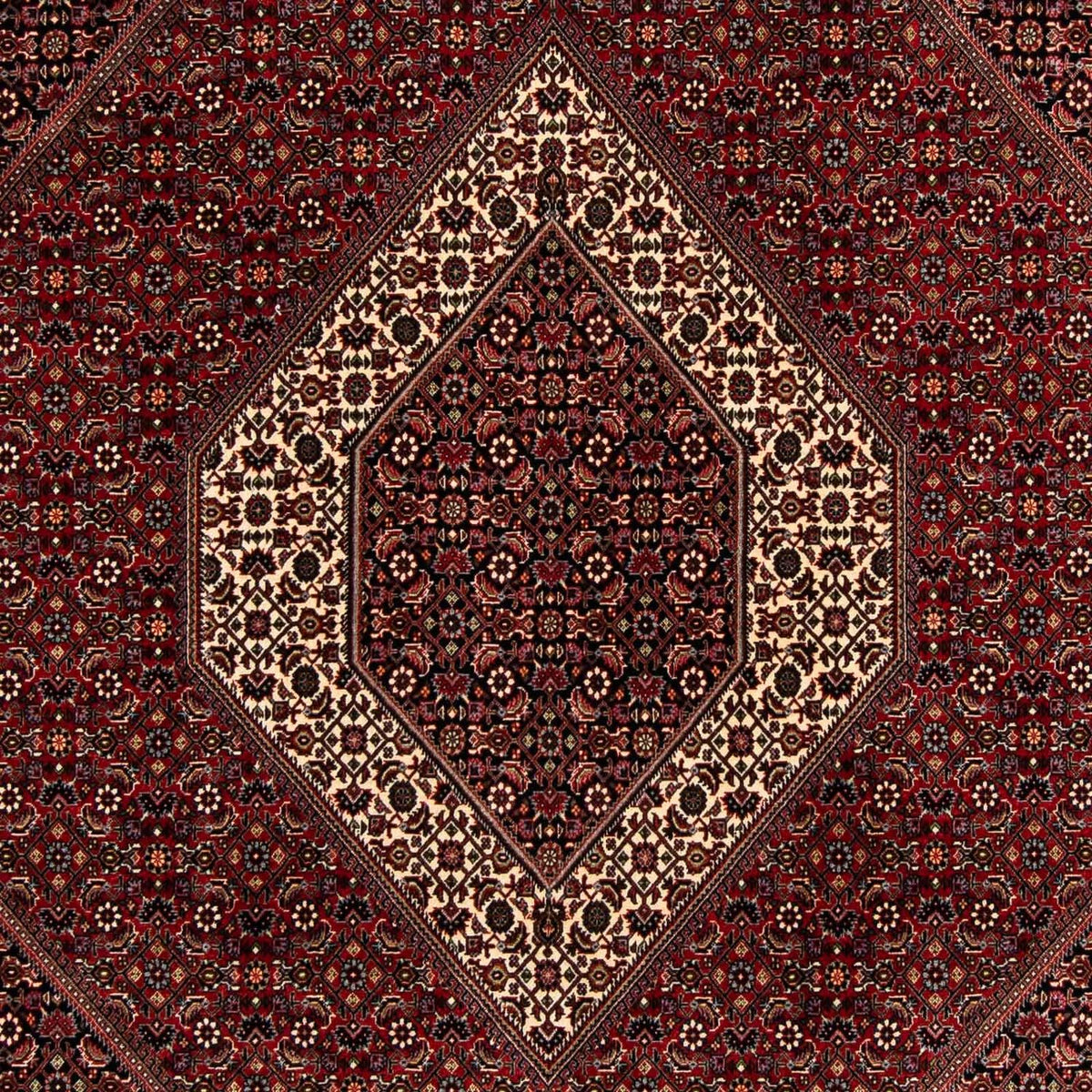 Alfombra persa - Bidjar - 263 x 203 cm - rojo oscuro