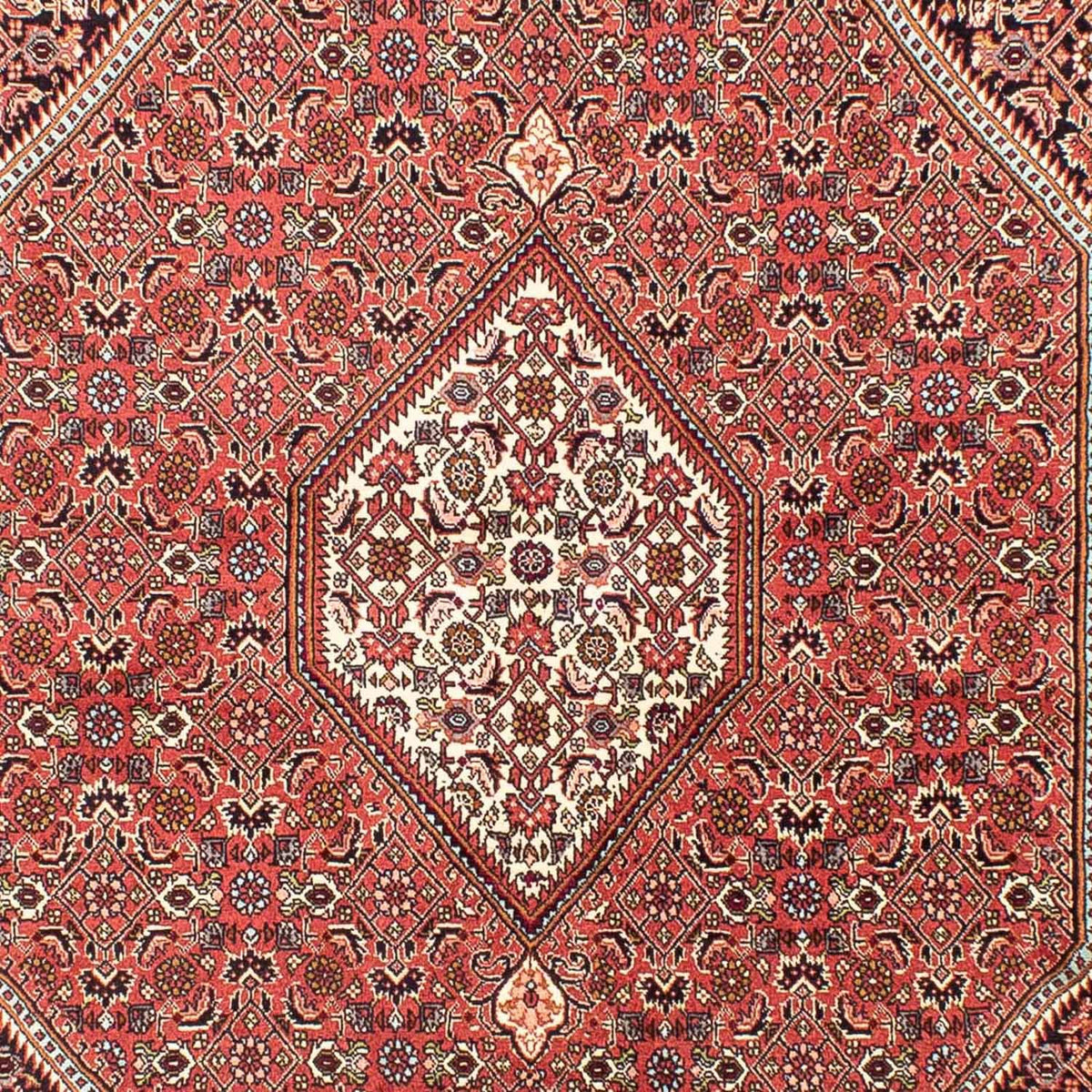 Alfombra persa - Bidjar - 258 x 174 cm - rojo claro