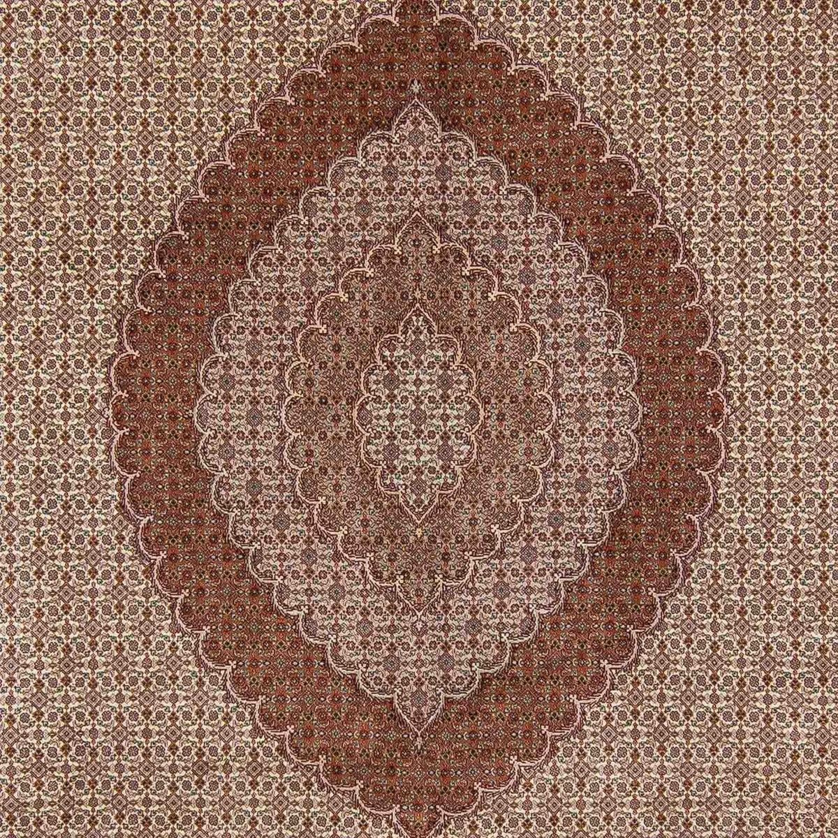 Alfombra persa - Tabriz - 350 x 254 cm - marrón