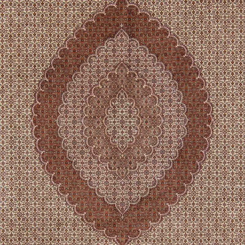 Alfombra persa - Tabriz - 350 x 254 cm - marrón