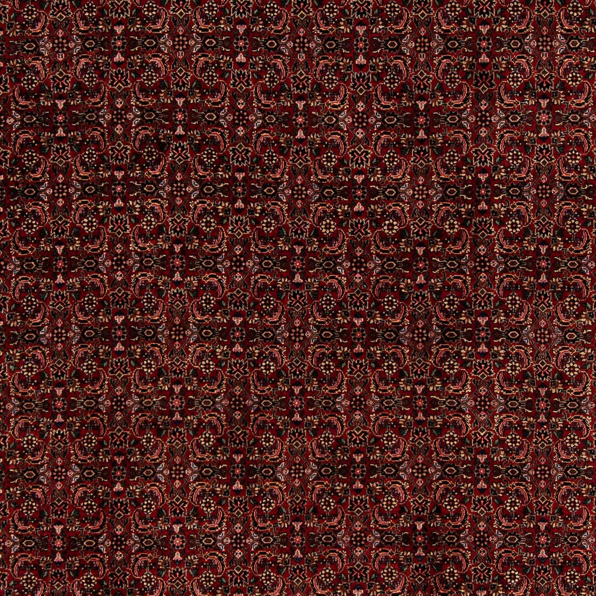 Alfombra persa - Bidjar - 249 x 202 cm - rojo oscuro