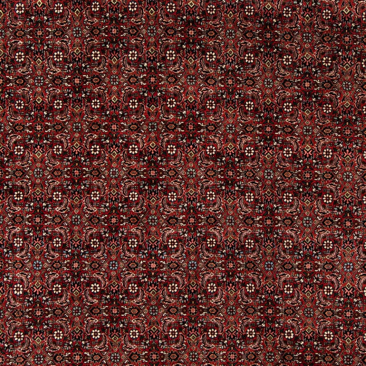 Alfombra persa - Bidjar - 242 x 202 cm - rojo oscuro