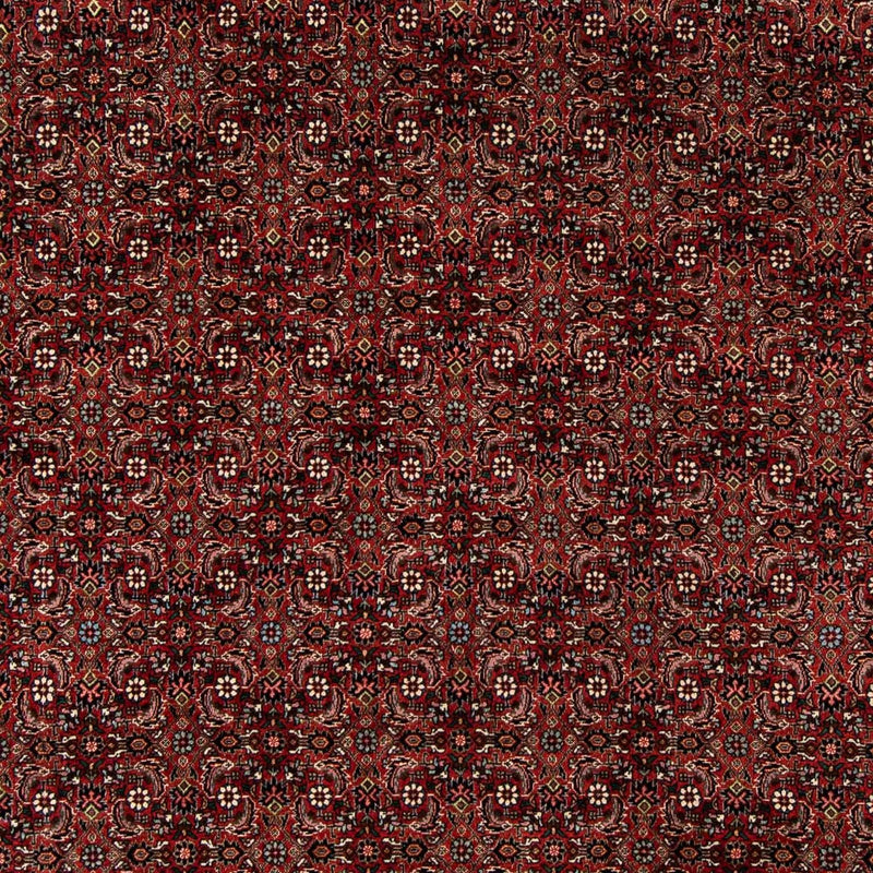 Alfombra persa - Bidjar - 242 x 202 cm - rojo oscuro