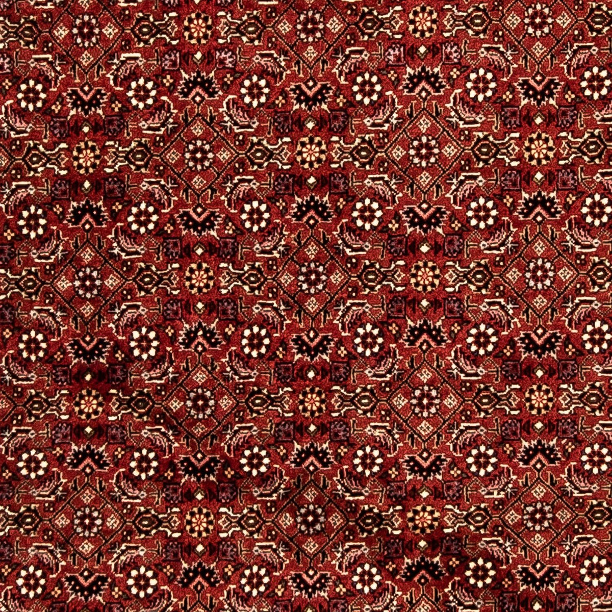Alfombra de pasillo Alfombra persa - Bidjar - 288 x 85 cm - multicolor