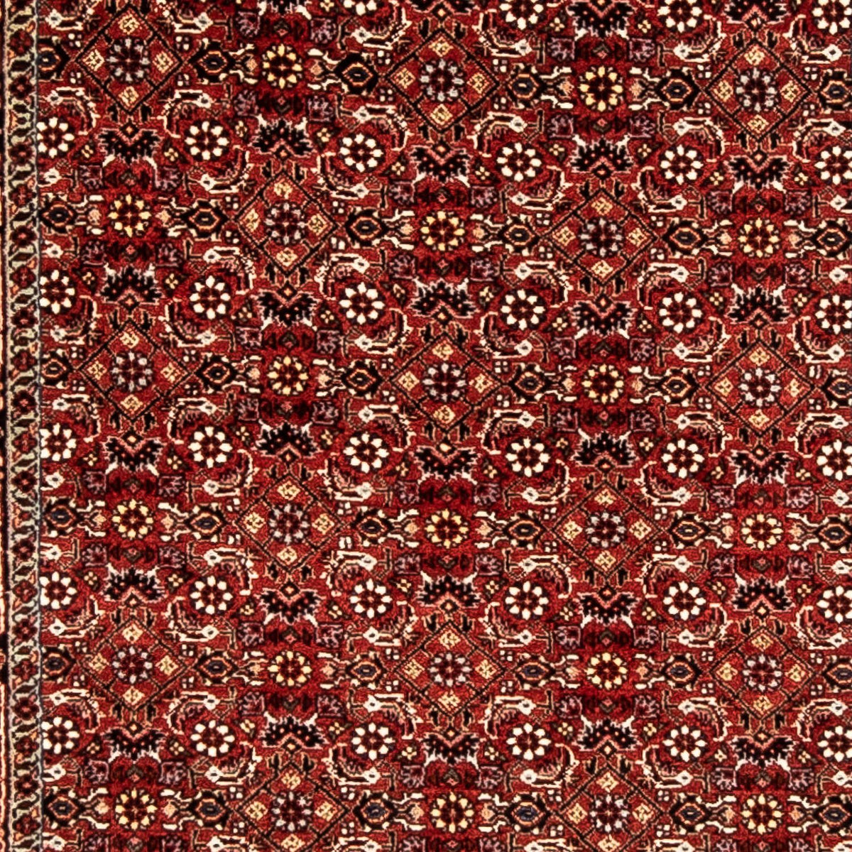 Alfombra de pasillo Alfombra persa - Bidjar - 298 x 80 cm - rojo oscuro