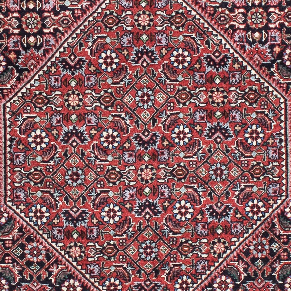 Alfombra de pasillo Alfombra persa - Bidjar - 197 x 72 cm - rojo