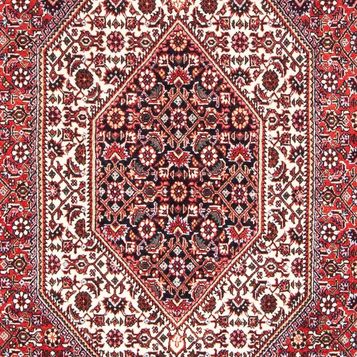 Alfombra persa - Bidjar - 189 x 109 cm - rojo