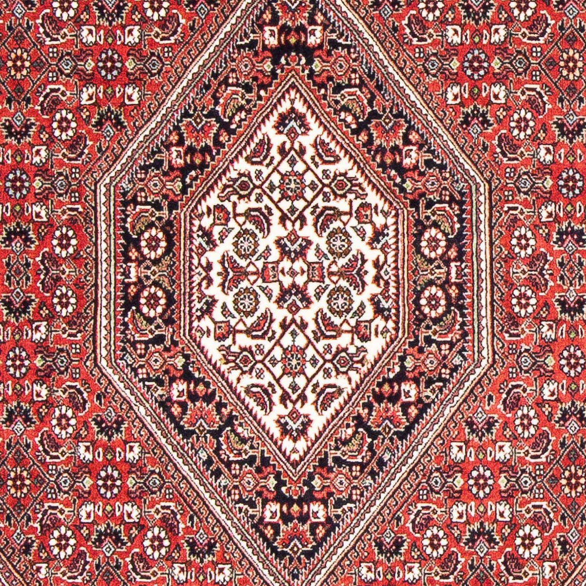 Alfombra persa - Bidjar - 176 x 110 cm - rojo
