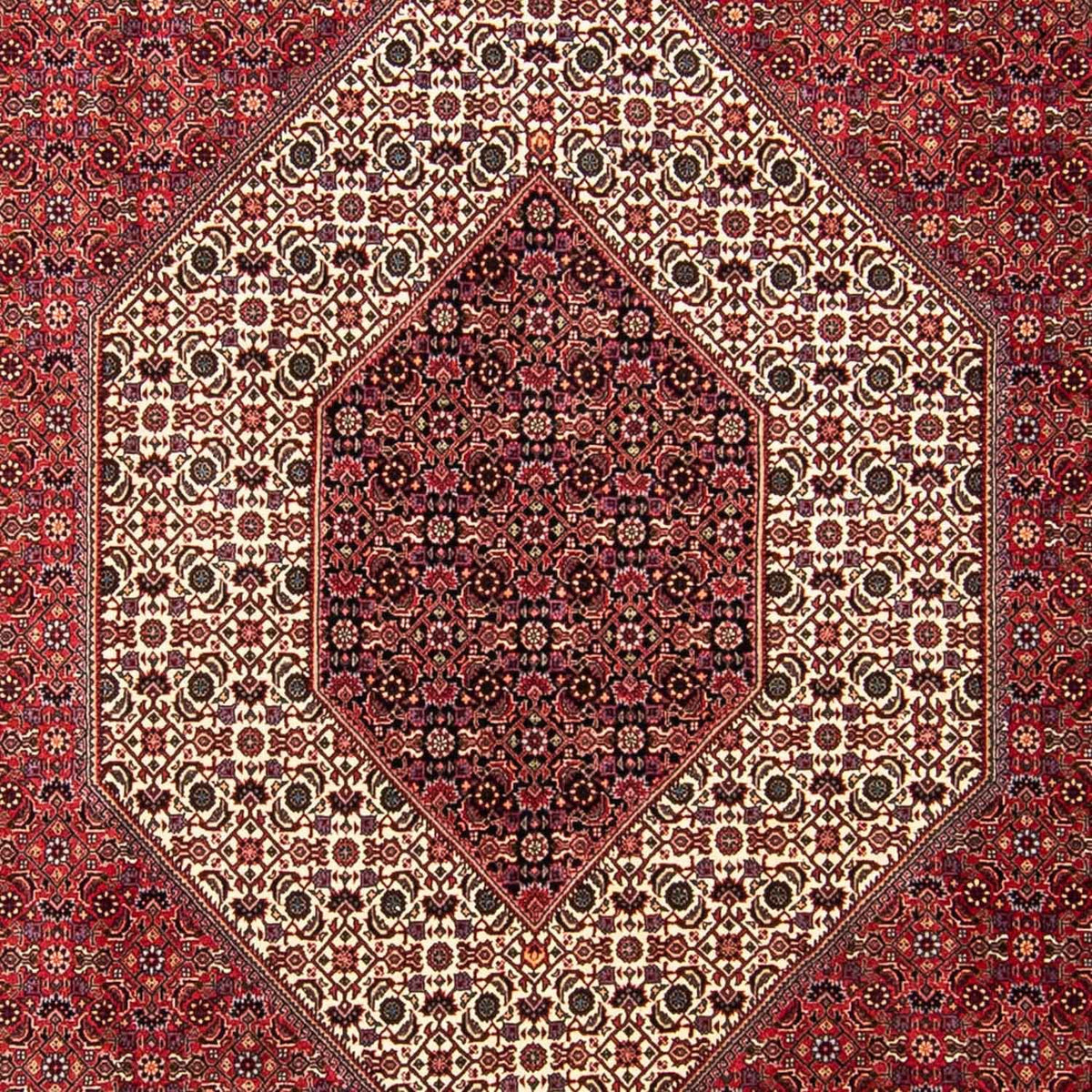 Alfombra persa - Bidjar - 304 x 255 cm - rojo oscuro