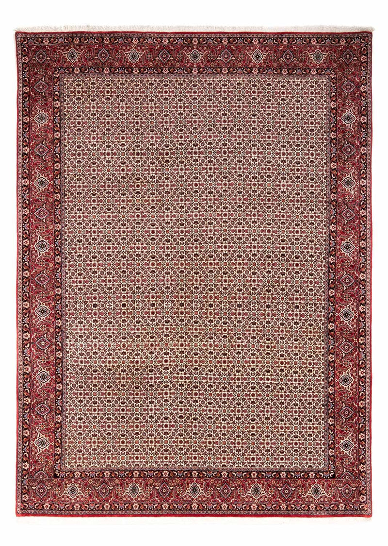 Alfombra persa - Bidjar - 343 x 253 cm - beige